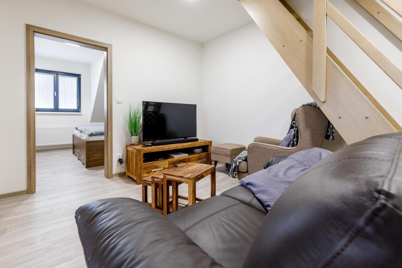Apartment Ness Boží Dar Eksteriør bilde