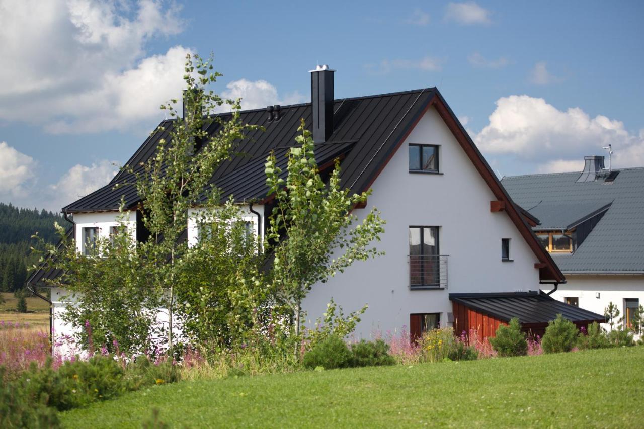 Apartment Ness Boží Dar Eksteriør bilde