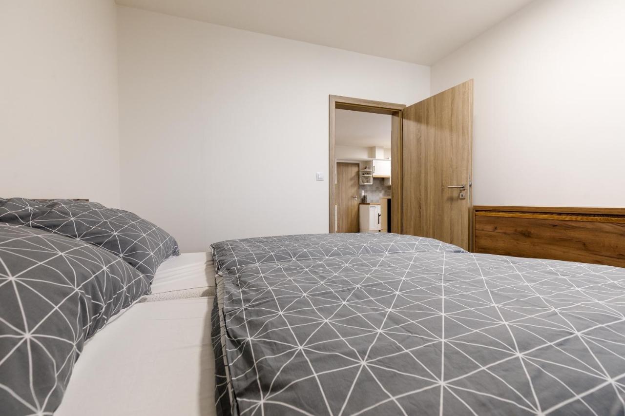 Apartment Ness Boží Dar Eksteriør bilde